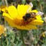 Fr&uuml;hling