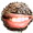 Wörtlich